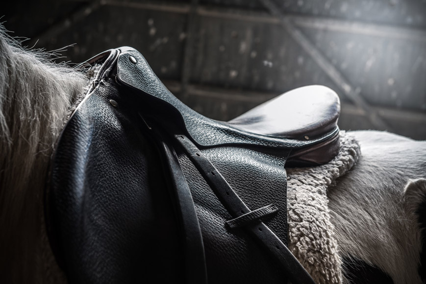 Improper Saddle Fit Can Have Far-Reaching Effects on Your Horse!