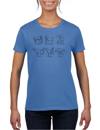 Tee Shirts -All cotton unisex tee shirts with 6 Horse Yoga positions on the front and "Have You Done Your Horse Yoga Today" on the back.