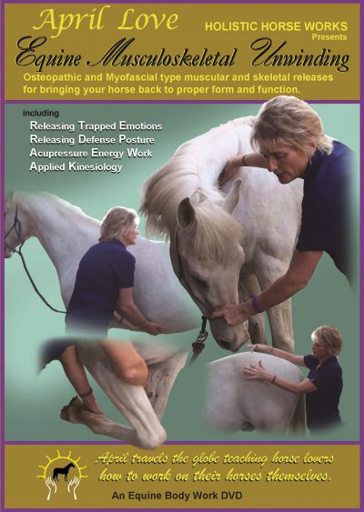 Horse Therapy-Home Study "Equine Musculoskeletal Unwinding"  -Watch Instantly partnered with Kari Patterson