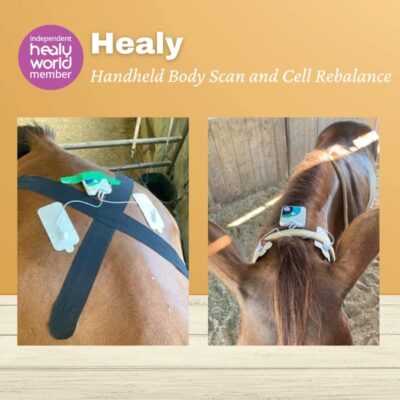 Healy Handheld Body Scan and Cell Rebalance