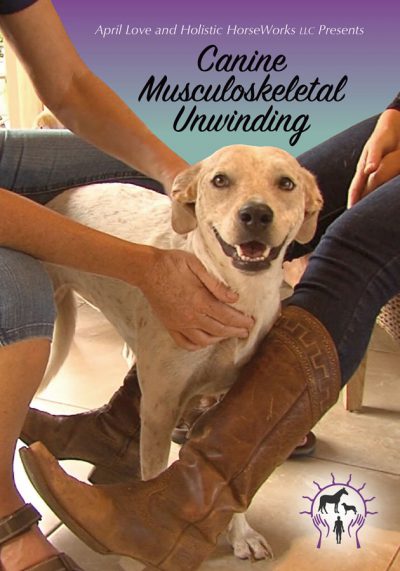 Canine Musculoskeletal Unwinding Watch Instantly & Home Study Course partnered with The Organic Pet Lady