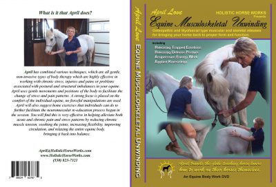 Horse Therapy-Home Study "Equine Musculoskeletal Unwinding"  -Watch Instantly partnered with Kim Lucien