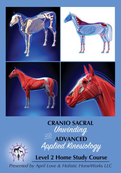 Equine Cranio Sacral Unwinding and Advanced Applied Kinesiology Home Study Course  -partnered with Kari Patterson