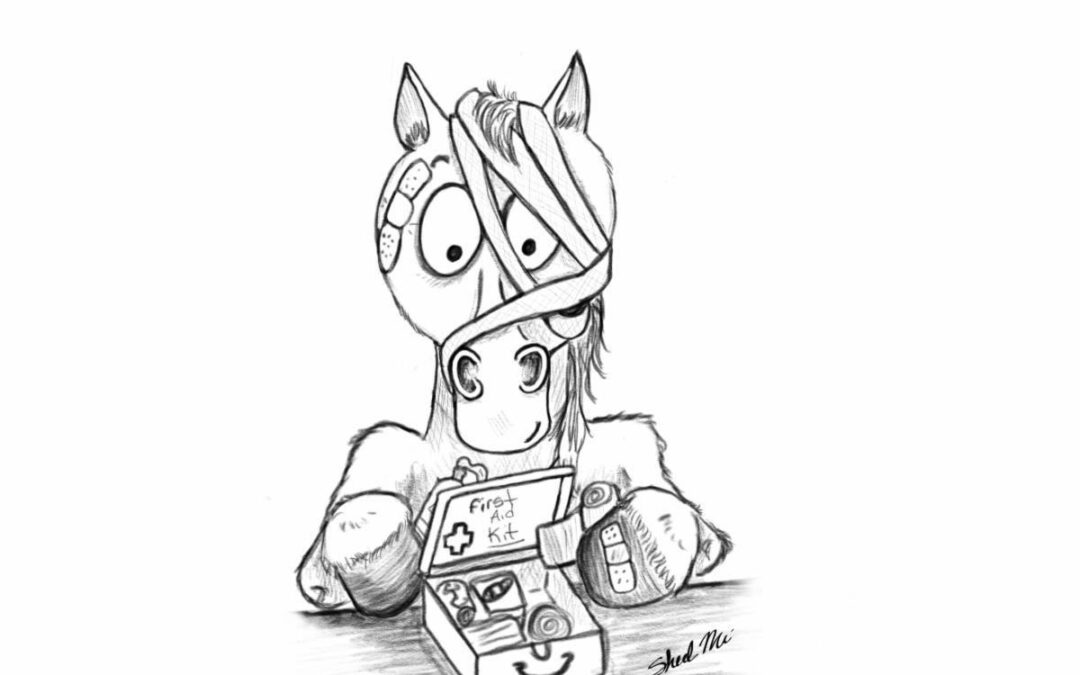 Your horse is wounded! Quick, what do you do?