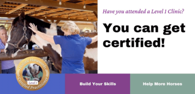 CERTIFIED Equine Musculoskeletal Unwinding Practitioner [Level 1 Hands-on Clinic Students Only]  $300 for everyone