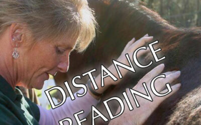 Learn What Is Wrong With Your Horse, From Your Horse