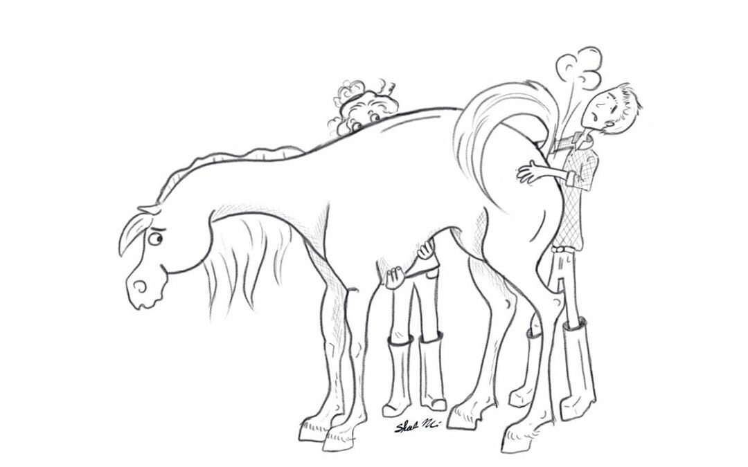 lifting the horse's belly to relieve colic pain