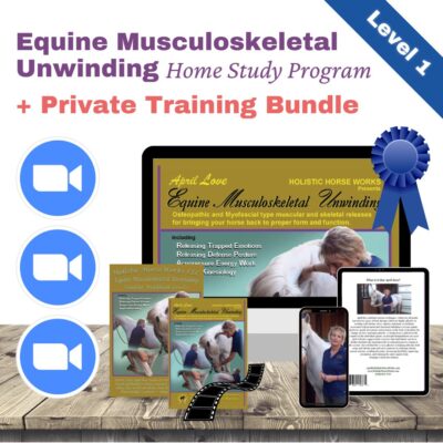 Level 1 "Equine Musculoskeletal Unwinding" Home Study + Private Training Bundle [NO DVD]