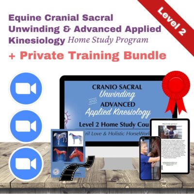 Level 2 "CranioSacral Unwinding and Advanced Applied Kinesiology" Home Study Bundle [NO DVD]