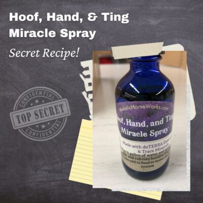 Buy the Recipe now to make your own Hoof Hand and Ting Miracle Spray