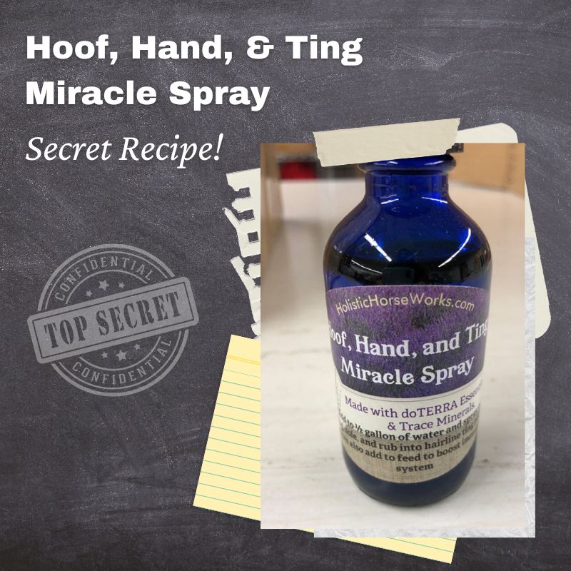 Hoof, Hand, and Ting Miracle Spray: Secret Recipe!