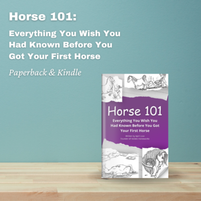 "Horse 101: Everything You Wish You Had Known Before You Got Your First Horse!" on Paperback and Kindle