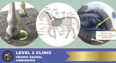 Australia | Level 2: Cranio Sacral Unwinding and Advanced Applied Kinesiology | Private Instruction w/ Marisa Levitt (Deposit Only)