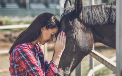Horses Grieve, Too. How to Help Them.