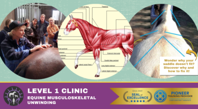 Private Instruction | Level 1: Equine Musculoskeletal Unwinding w/ Anne Baron | Deposit Only