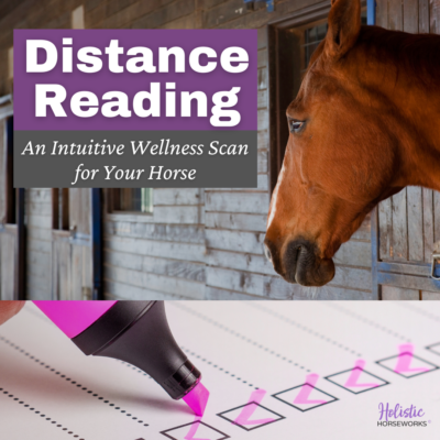 Equine Distance Reading | An Intuitive Wellness Scan for Your Horse