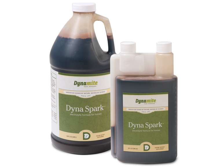 Dynamite Dyna Spark