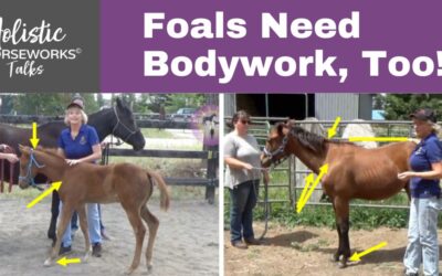 Foals Need Bodywork, Too!
