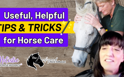 Useful, Helpful Tips and Tricks for Horse Care | April Love’s Interview on The Backyard Horse Enthusiast