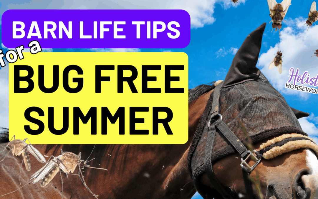 Barn Life Tips for a Bug Free Summer