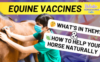 Equine Vaccines: What’s In Them and How to Help Your Horse Naturally